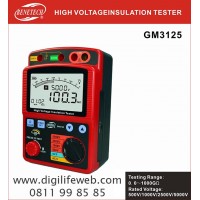 Insulation Tester Benetech GM3125