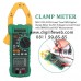 Clamp Multimeter Mastech MS2115A
